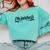 Phd Phinished Shirt Doctorate Graduation Students Comfort Colors Sweatshirt Chalky Mint
