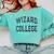Retro Antisocial WIZARD COLLEGE Introvert Don't Call Me Comfort Colors Sweatshirt Chalky Mint