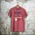 Daddy Dad First Birthday Little Rookie Baseball The Big One Men's Comfort Colors T-Shirt Crimson Daddy Dad First Birthday Little Rookie Baseball The Big One Men's Comfort Colors T-Shirt Crimson