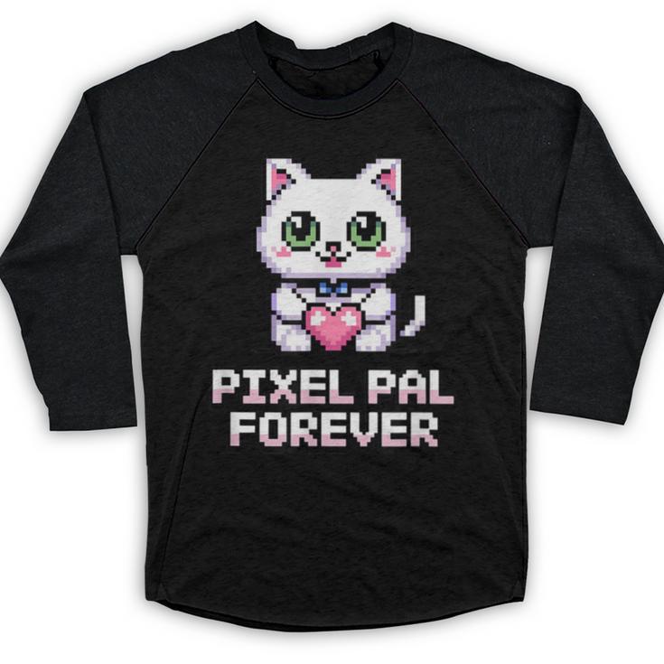 Pixel Art Pet Cat Y2K Retro Vintage Digital Nostalgia Tech Baseball Raglan Shirt