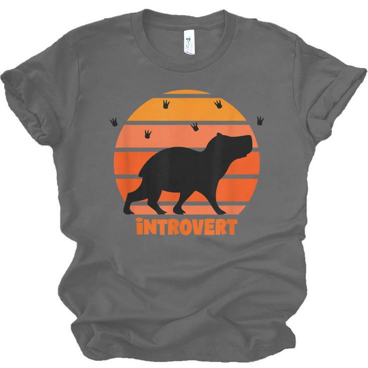 Introvert Retro Sunset Capybara Tee Unisex Jersey T-Shirt