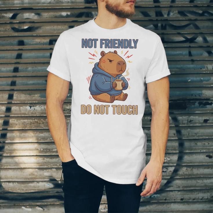 Grouchy Capybara Not Friendly Do Not Touch Introvert Premium Tri-Blend Unisex Jersey T-Shirt Grouchy Capybara Not Friendly Do Not Touch Introvert Premium Tri-Blend Unisex Jersey T-Shirt