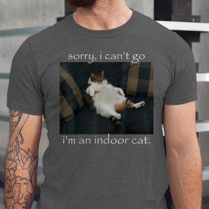 Sorry I Can’t Go I’m An Indoor Cat Introvert Meme Unisex Jersey T-Shirt