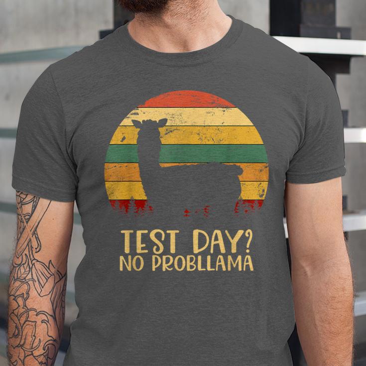 Test Day No Probllama Silhouette Teacher Student Graduation Unisex Jersey T-Shirt