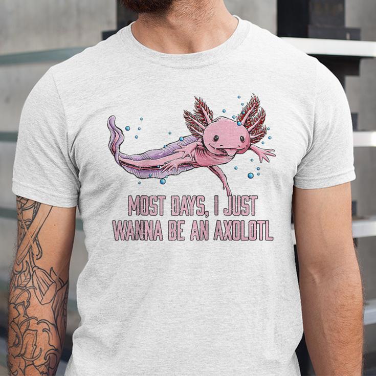 Most Days I Just Wanna Be An Axolotl Salamander Introvert Raglan Baseball Tee Unisex Jersey T-Shirt