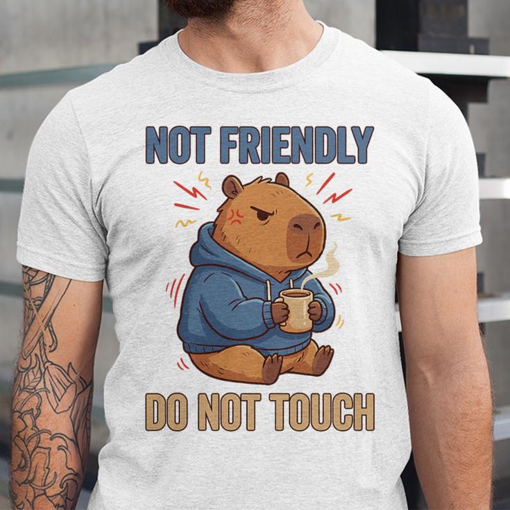 Grouchy Capybara Not Friendly Do Not Touch Introvert Premium Tri-Blend Unisex Jersey T-Shirt Grouchy Capybara Not Friendly Do Not Touch Introvert Premium Tri-Blend Unisex Jersey T-Shirt