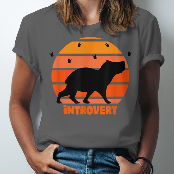 Introvert Retro Sunset Capybara Tee Unisex Jersey T-Shirt