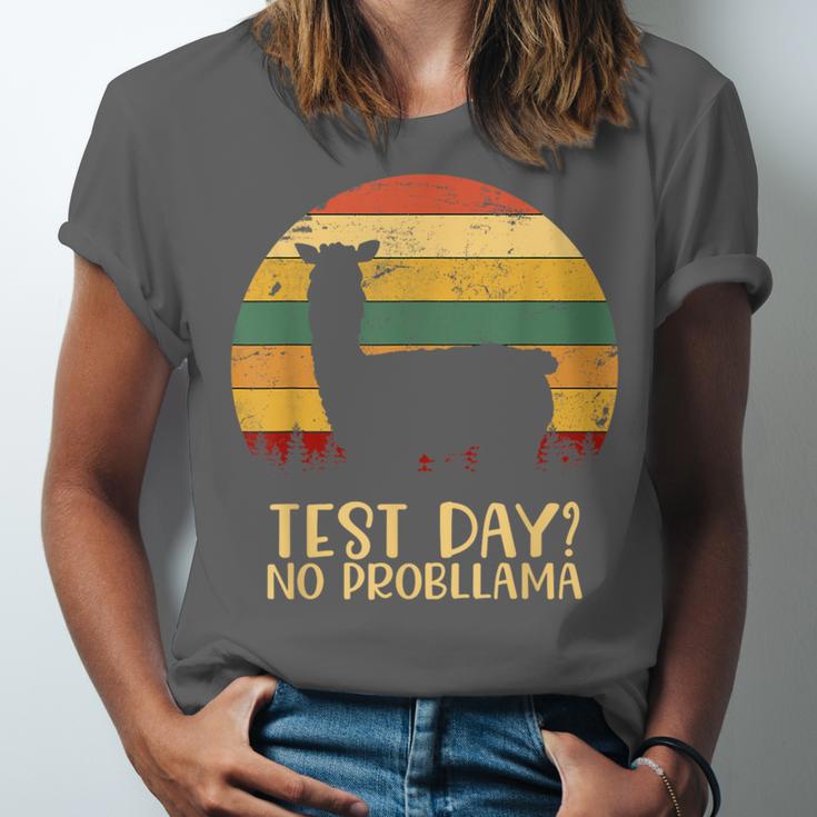 Test Day No Probllama Silhouette Teacher Student Graduation Unisex Jersey T-Shirt