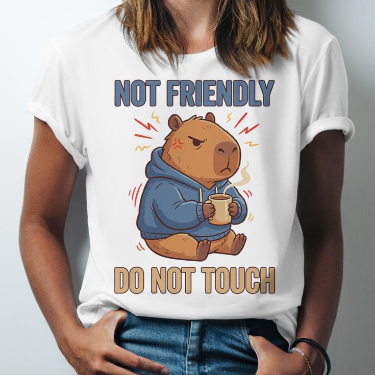 Grouchy Capybara Not Friendly Do Not Touch Introvert Premium Tri-Blend Unisex Jersey T-Shirt Grouchy Capybara Not Friendly Do Not Touch Introvert Premium Tri-Blend Unisex Jersey T-Shirt