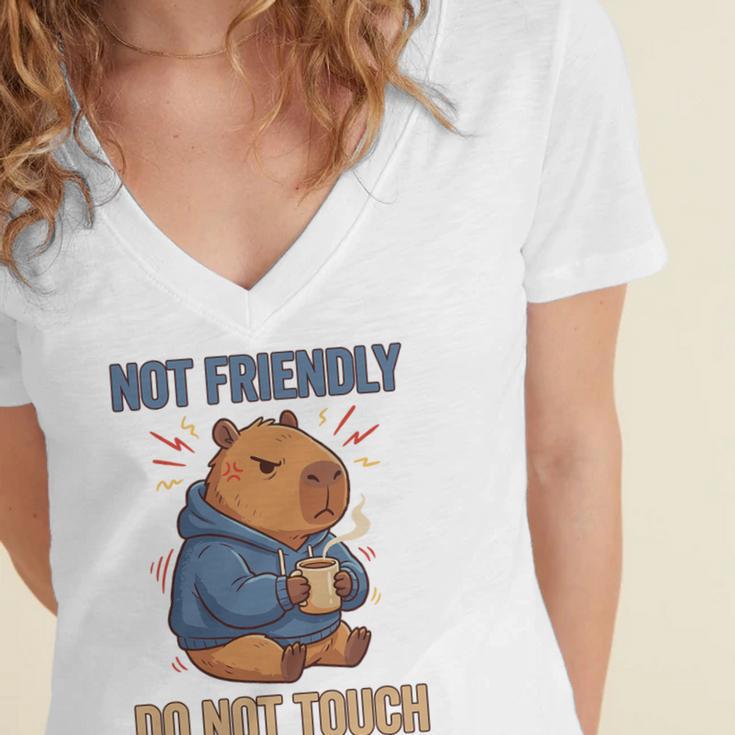 Grouchy Capybara Not Friendly Do Not Touch Introvert Premium Tri-Blend Women's Jersey Short Sleeve Deep V-Neck Tshirt