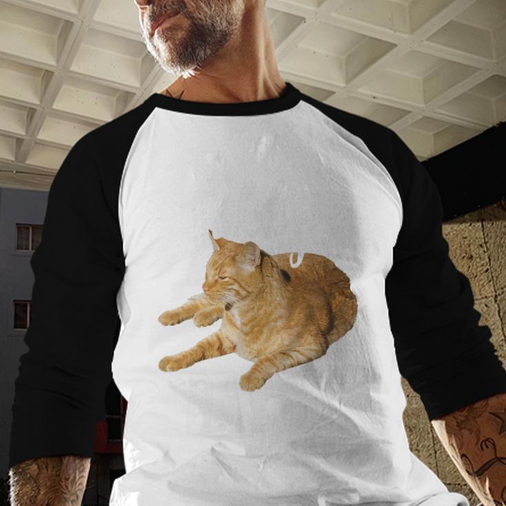 Tabby Daddy Cat Lover Saying Graphic Men Baseball Raglan Shirt