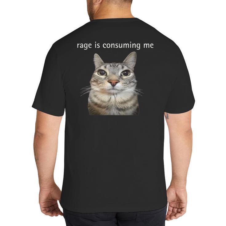 Rage Is Consuming Me Silly Staring Cat Meme Dad Mom Big And Tall Men's T-Shirt Back Print