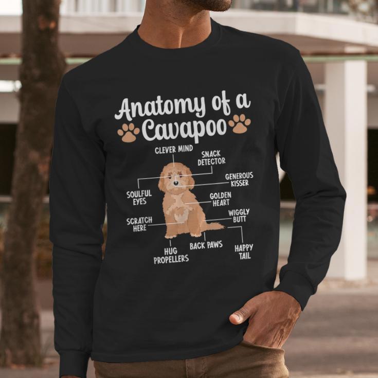 Anatomy Of A Cavapoo Dog Cavapoo Owner Cavapoo Dad Men Long Sleeve T-Shirt Anatomy Of A Cavapoo Dog Cavapoo Owner Cavapoo Dad Men Long Sleeve T-Shirt