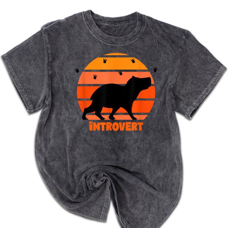 Introvert Retro Sunset Capybara Tee Mineral Wash Tshirts