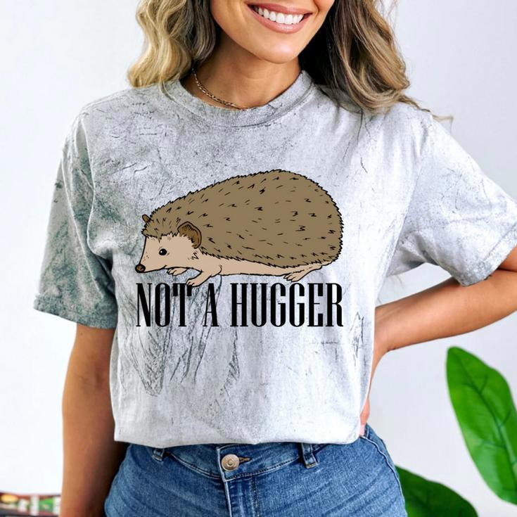 Not A Hugger Hedgehog Introvert Sarcasm Antisocial Comfort Color Blast T-Shirt