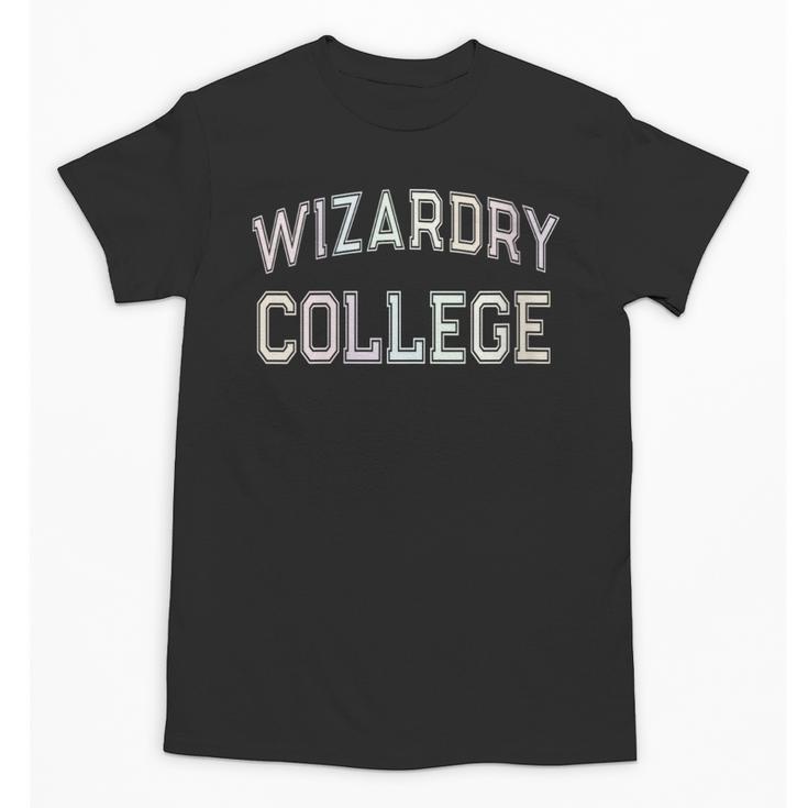 Don'T Call Me WIZARDRY COLLEGE Introvert Sarcastic Unisex T-Shirt