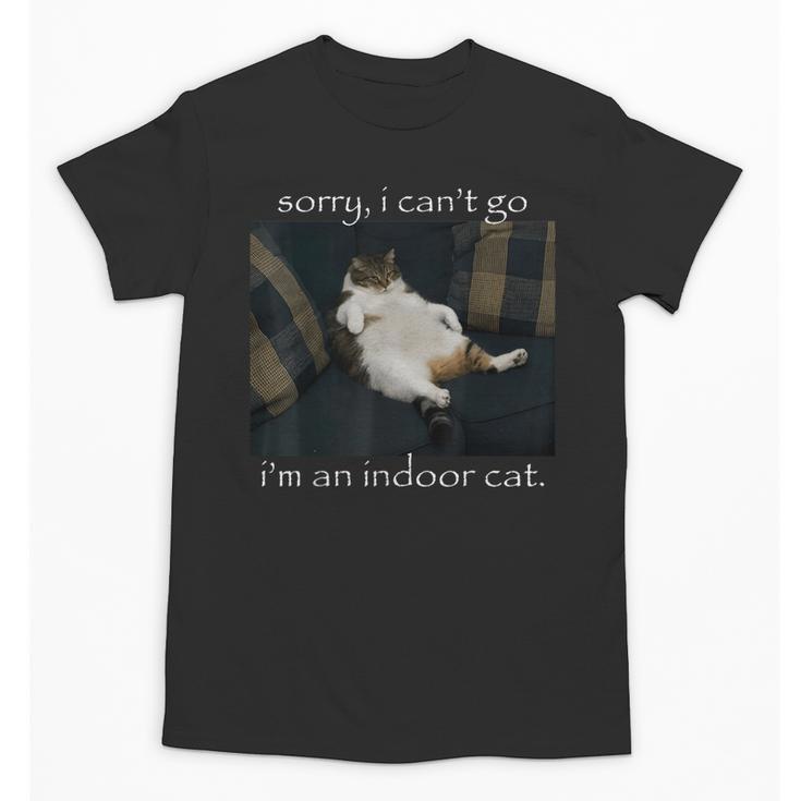 Sorry I Can’t Go I’m An Indoor Cat Introvert Meme Unisex T-Shirt