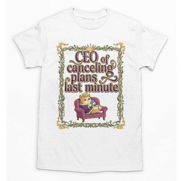 CEO Of Canceling Plans Flake Introvert Friend Premium Tri-Blend Unisex T-Shirt