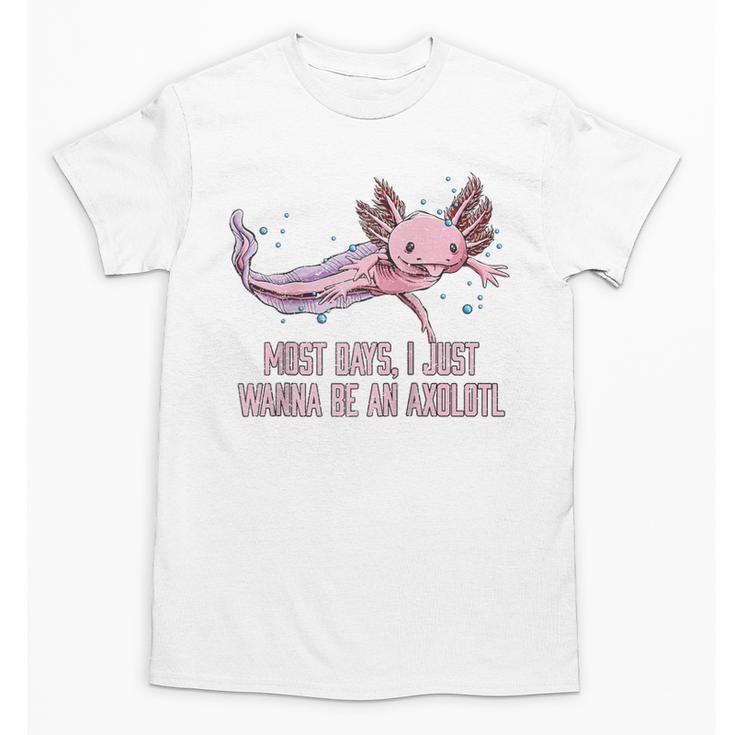 Most Days I Just Wanna Be An Axolotl Salamander Introvert Raglan Baseball Tee Unisex T-Shirt