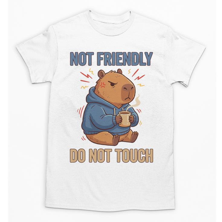 Grouchy Capybara Not Friendly Do Not Touch Introvert Premium Tri-Blend Unisex T-Shirt