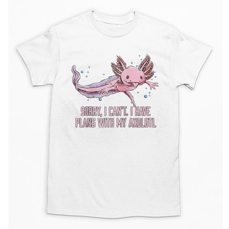 I Have Plans With My Axolotl Salamander Introvert Raglan Baseball Tee Unisex T-Shirt