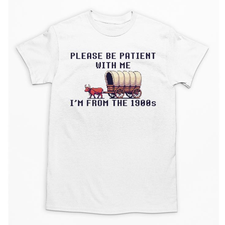 PLEASE BE PATIENT WITH ME I'M FROM THE 1900s 90s Meme Premium Unisex T-Shirt