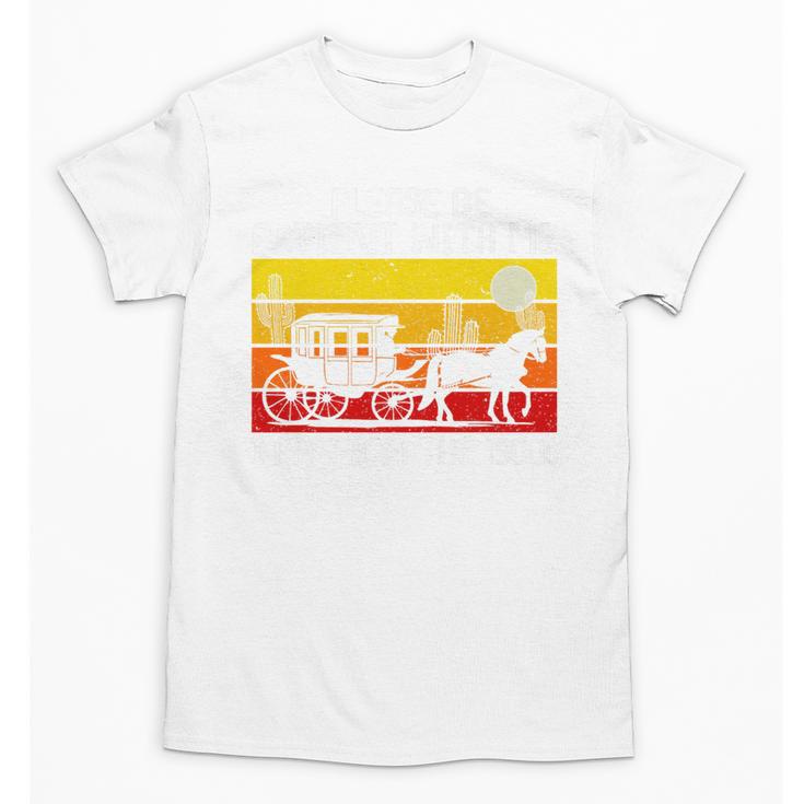 Please Be Patient With Me I'm From The 1900s Vintage Sun Set Premium Unisex T-Shirt
