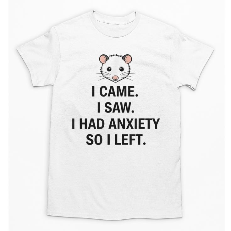 I Came I Saw I Had Anxiety So I Left Introvert Tee Unisex T-Shirt