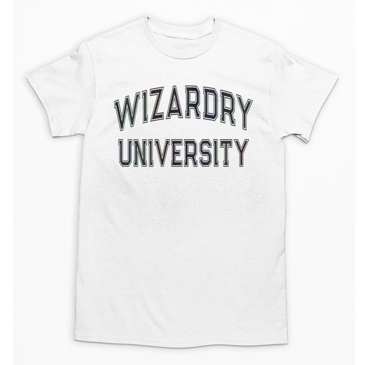 Silly Don'T Call Me WIZARDRY UNIVERSITY Introvert Sarcastic Unisex T-Shirt
