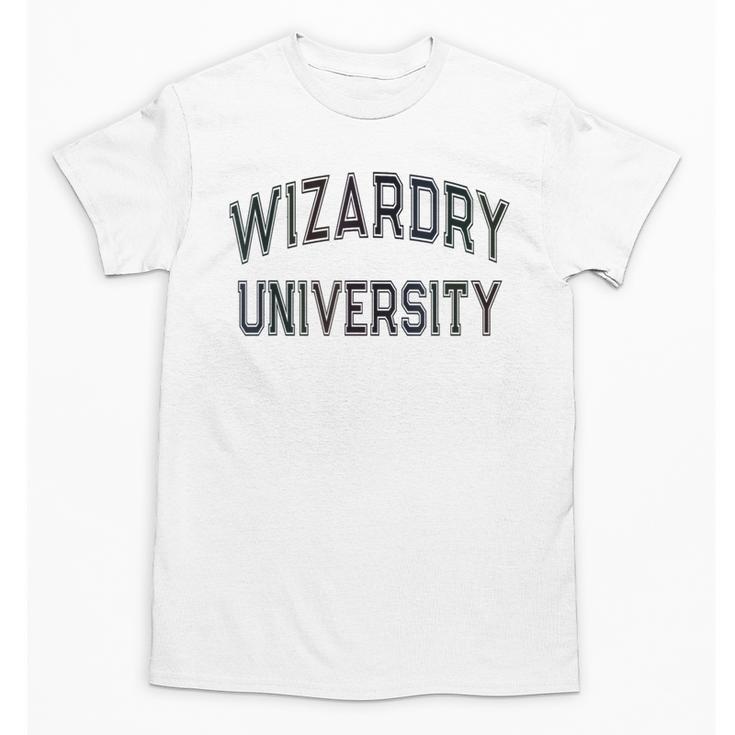 Silly Don'T Call Me WIZARDRY UNIVERSITY Introvert Sarcastic Unisex T-Shirt