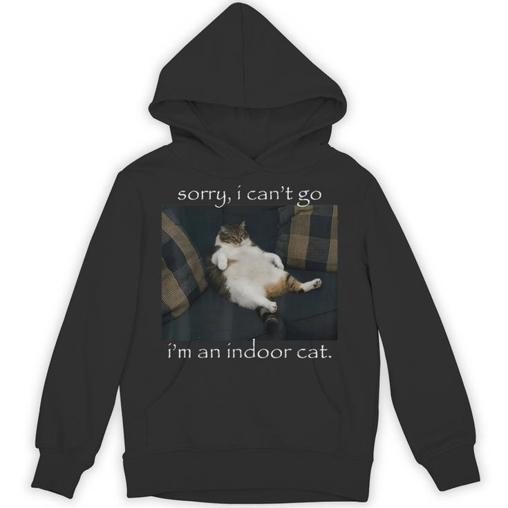 Sorry I Can’t Go I’m An Indoor Cat Introvert Meme Unisex Hoodie