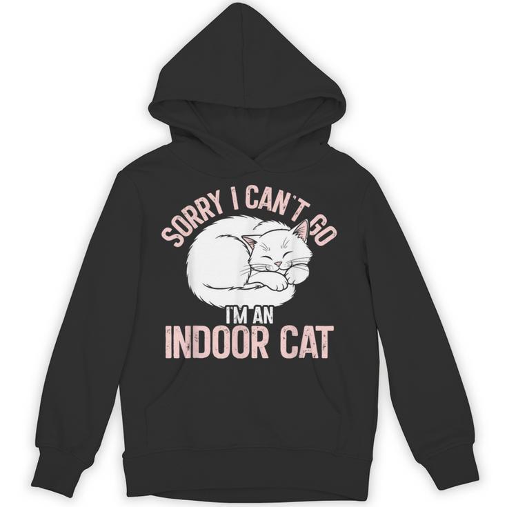 Sorry I Can't Go I'm An Indoor Cat Lazy Humor Introvert Cat Unisex Hoodie