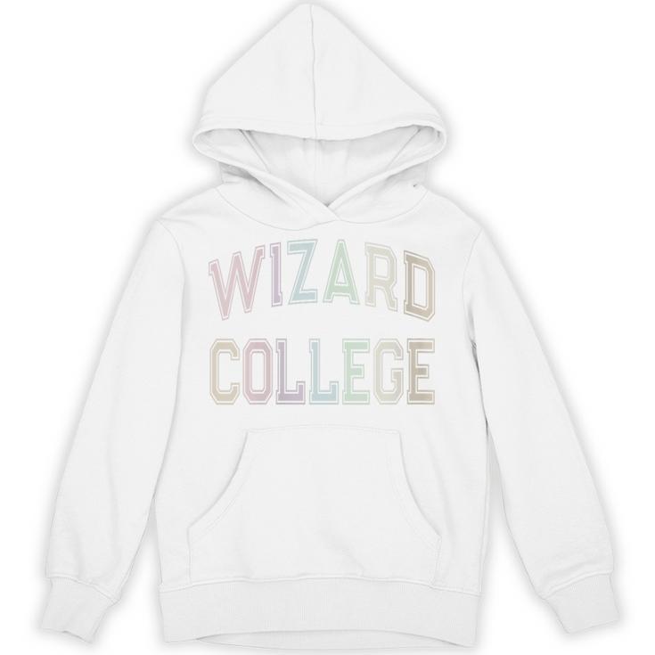 Crazy Sarcastic WIZARD COLLEGE Introvert Anti Social Academy Unisex Hoodie