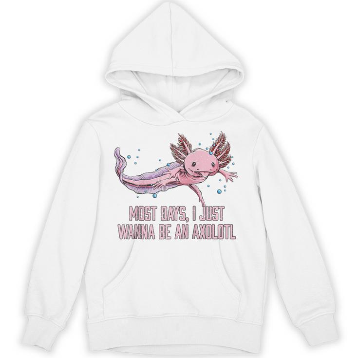 Most Days I Just Wanna Be An Axolotl Salamander Introvert Raglan Baseball Tee Unisex Hoodie
