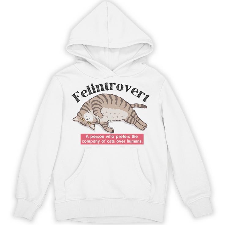 Felinetrovert CAT Lover Kitten CATS Funny Meme Introvert Pet Unisex Hoodie