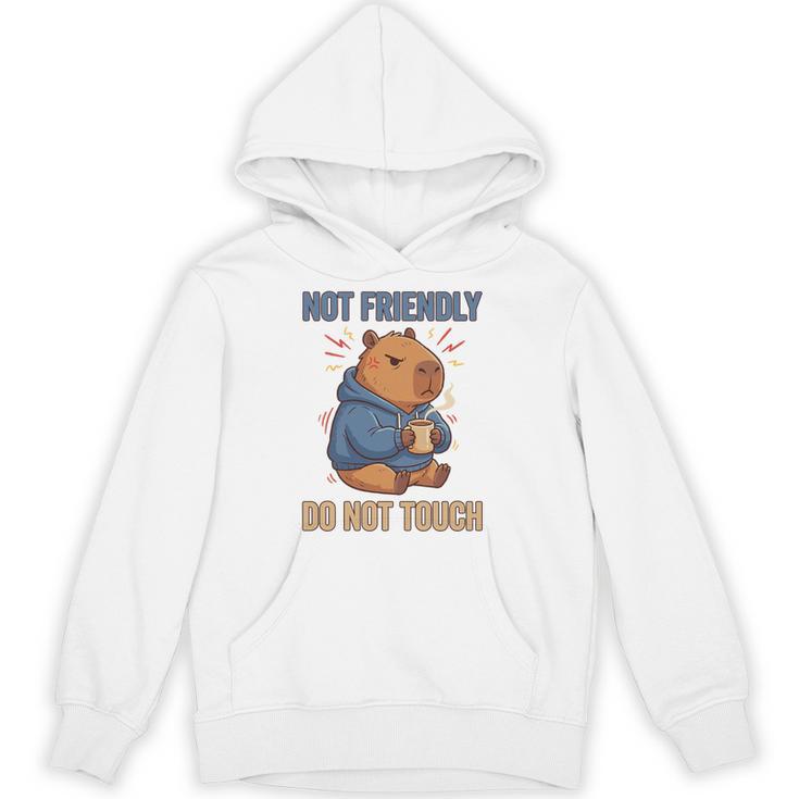 Grouchy Capybara Not Friendly Do Not Touch Introvert Premium Tri-Blend Unisex Hoodie