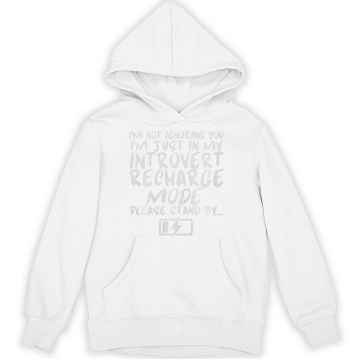 I'm Not Ignoring You I'm Just In My Introvert Recharge Mode Premium Tri-Blend Unisex Hoodie