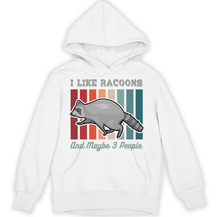 Introvert Raccoon Animal Lover Trash Panda Antisocial Retro Unisex Hoodie