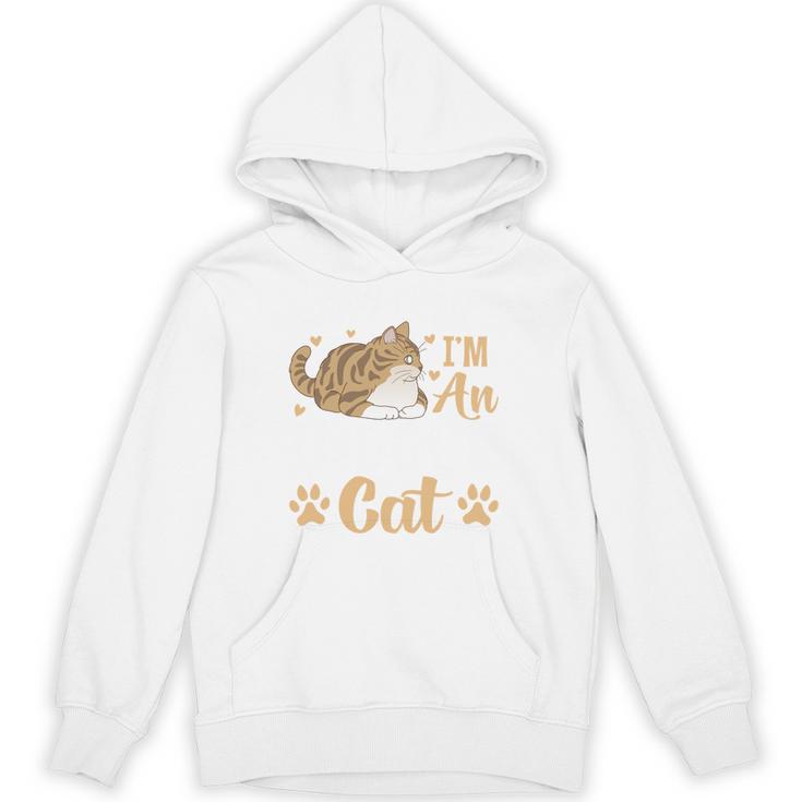 Kitty Pet Lover Introvert Person Cats Show Family Member Unisex Hoodie