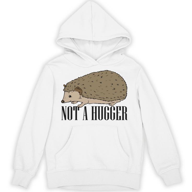 Not A Hugger Hedgehog Introvert Sarcasm Antisocial Unisex Hoodie