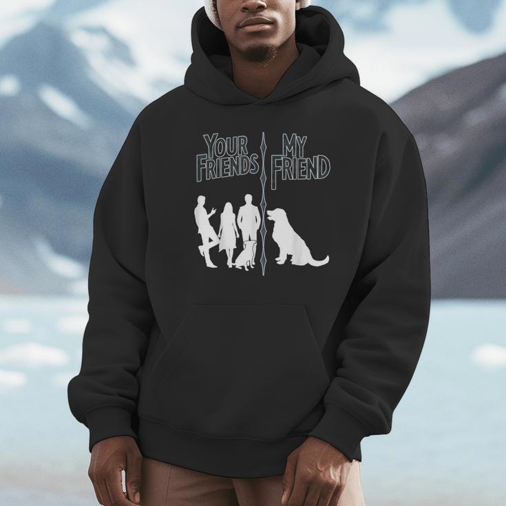 Your Friends Vs My Friend Introvert Pet Dog Owner Men Women Kids Unisex Hoodie