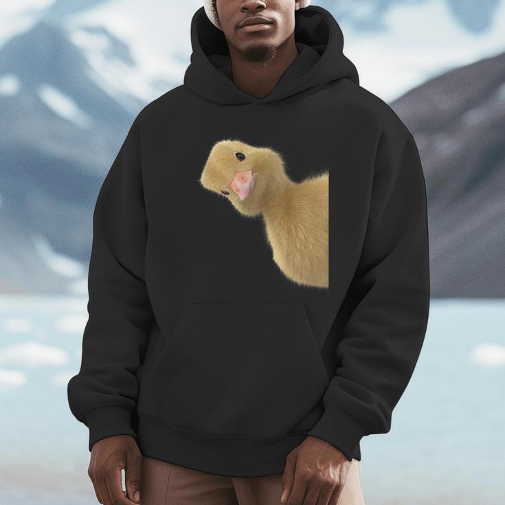 Peking Duck Peeking Chef Graduation Farm Duck Lover Unisex Hoodie