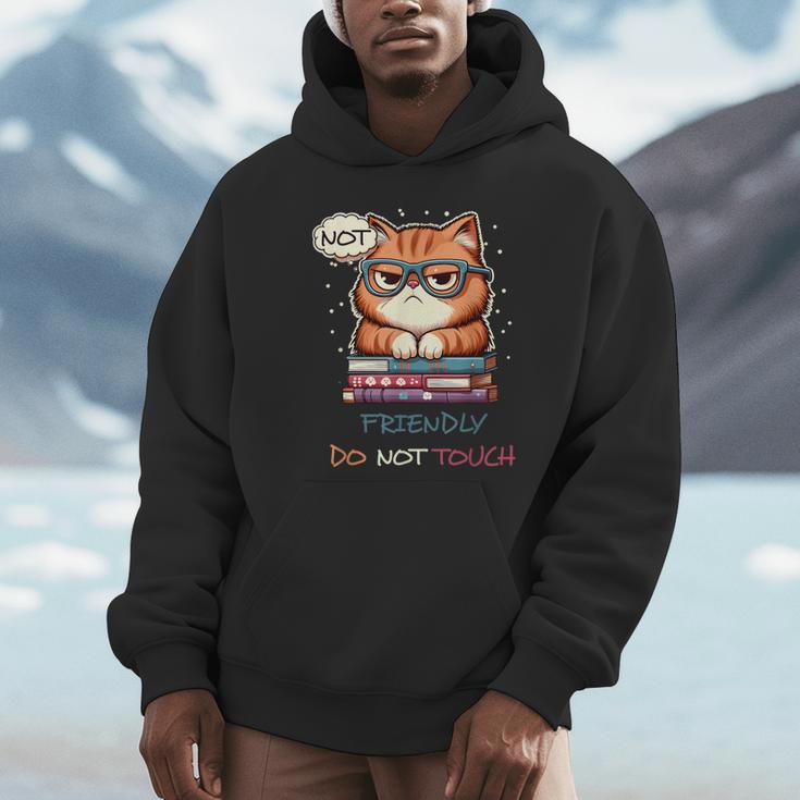 Sarcastic Loner Introvert Not a Friendly Do Not Touchs Unisex Hoodie