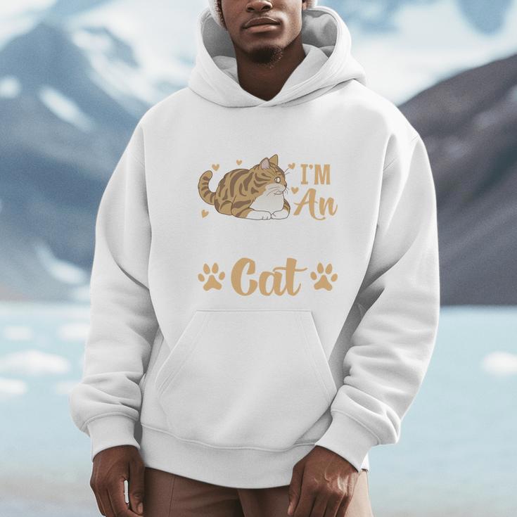 Kitty Pet Lover Introvert Person Cats Show Family Member Unisex Hoodie