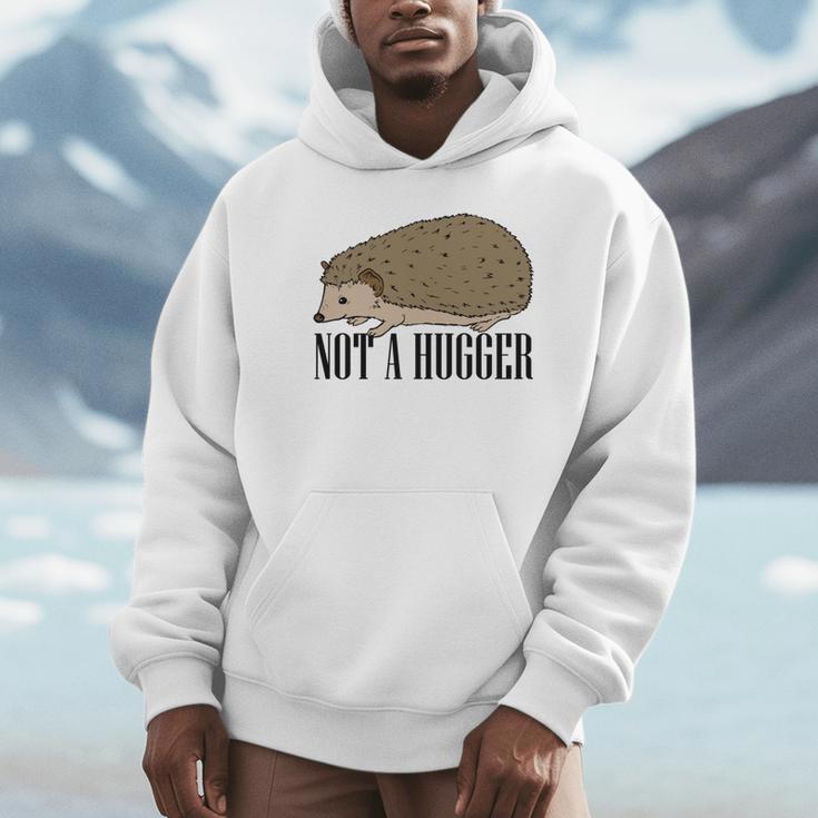 Not A Hugger Hedgehog Introvert Sarcasm Antisocial Unisex Hoodie Not A Hugger Hedgehog Introvert Sarcasm Antisocial Unisex Hoodie