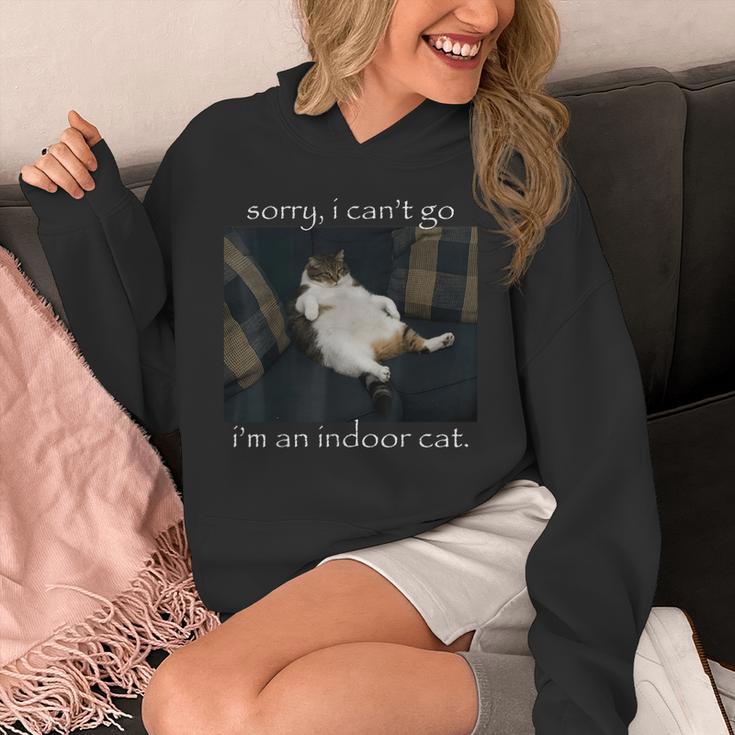 Sorry I Can’t Go I’m An Indoor Cat Introvert Meme Unisex Hoodie Sorry I Can’t Go I’m An Indoor Cat Introvert Meme Unisex Hoodie