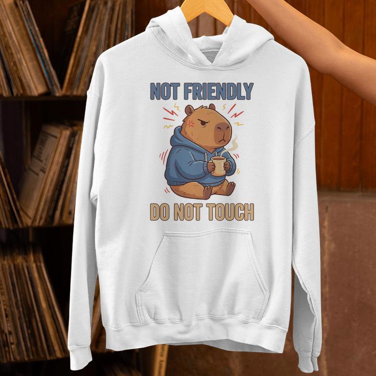 Grouchy Capybara Not Friendly Do Not Touch Introvert Premium Tri-Blend Unisex Hoodie Grouchy Capybara Not Friendly Do Not Touch Introvert Premium Tri-Blend Unisex Hoodie