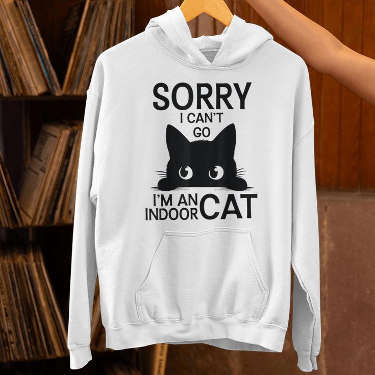Sorry I Can't Go I'm An Indoor Cat Introvert Cats Unisex Hoodie
