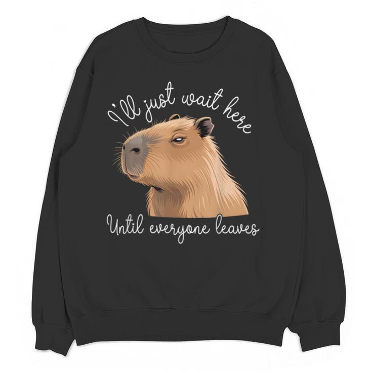 Antisocial Introvert Capybara Sarcastic Humor Unisex Sweatshirt
