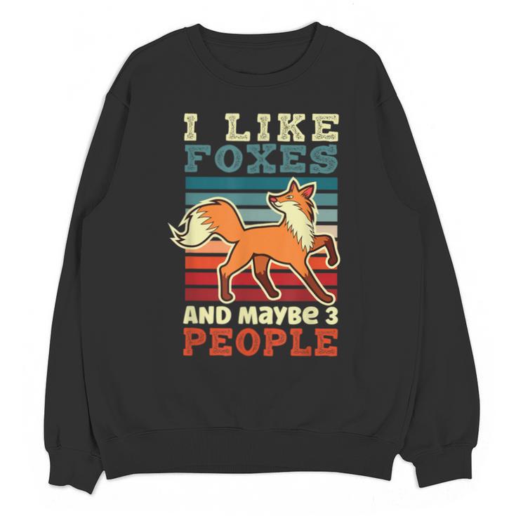 Introvert Fox Animal Lover Saying Loner Antisocial Unisex Sweatshirt